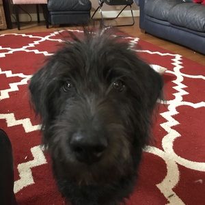 Meet your Posher, Sonya